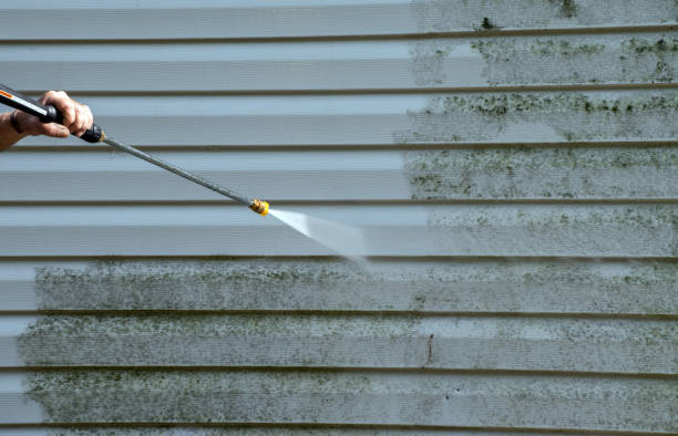 Best Sidewalk Pressure Washing  in Forest Hills, TN