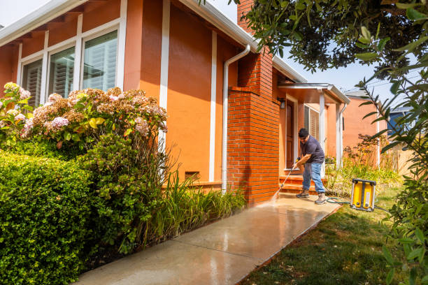 Best Pressure Washing Driveway  in Forest Hills, TN